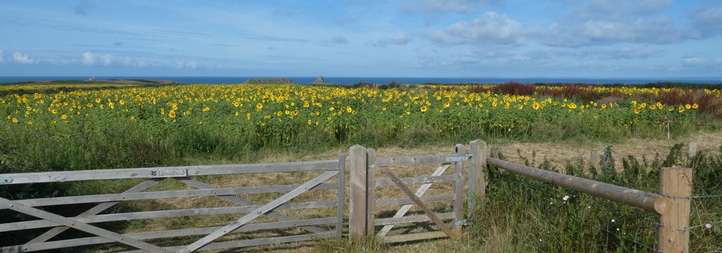Rhossili Community Council